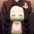 studiodragonlovers