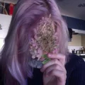 lizlavigne