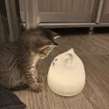 hanii